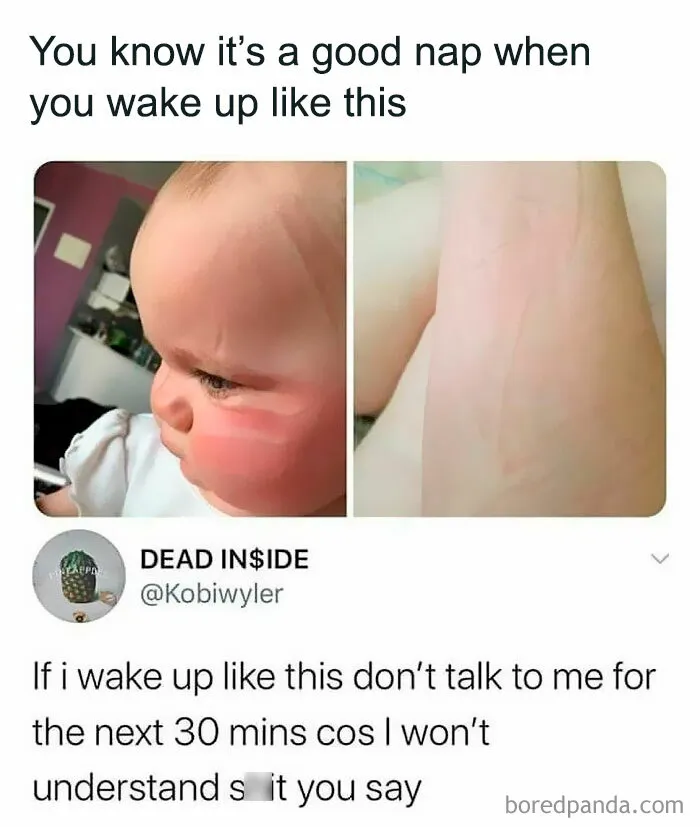 50 Funny Posts That Have No Business Being So Spot-On