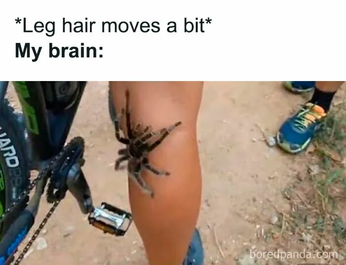 50 Funny Posts That Have No Business Being So Spot-On