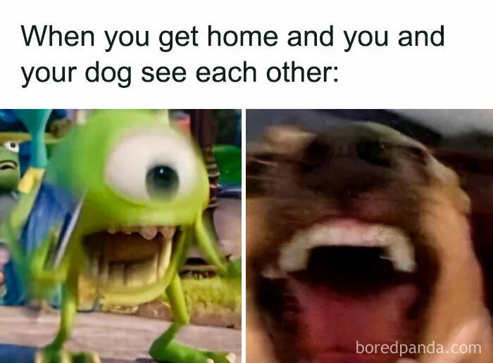 50 Funny Posts That Have No Business Being So Spot-On