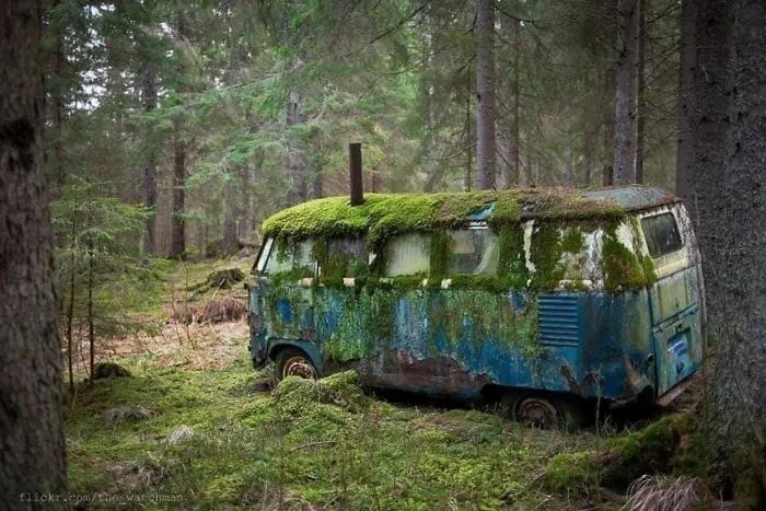 Volkswagen Bus Left To Nature In The Middle Of Sweeden