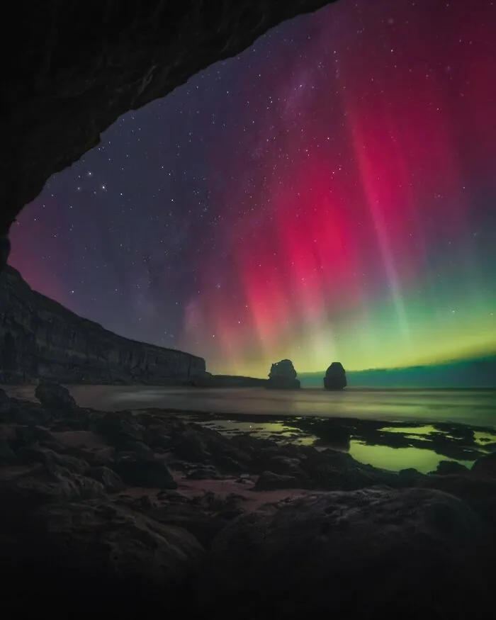 “Gibson Glow” – David Tanis