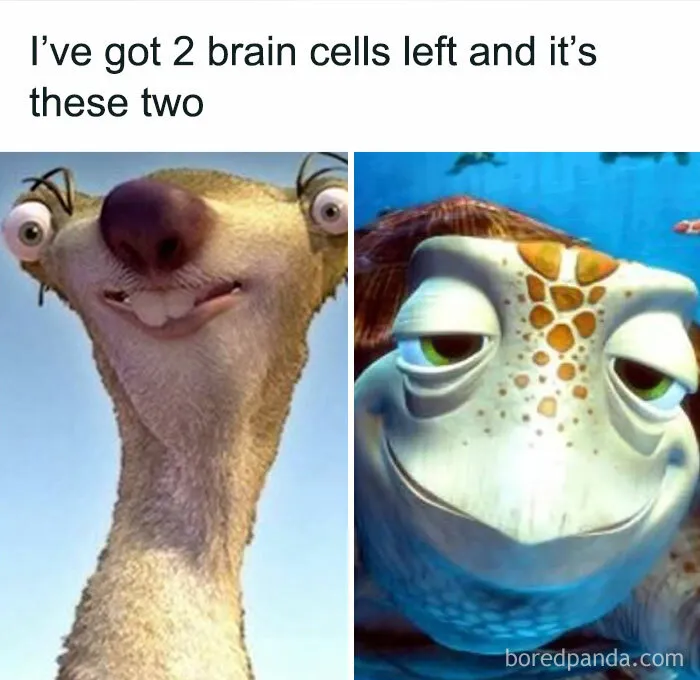 1.7M People Are Crying Laughing At The Memes From This Page, So Here Are The 49 Best