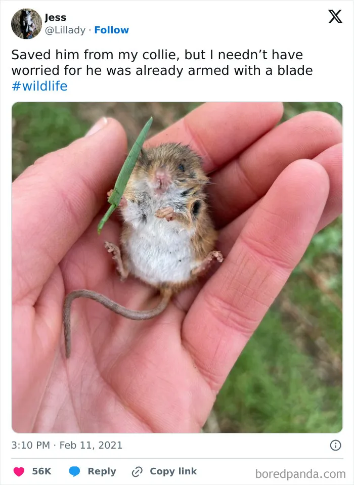 40 Memes That Capture Humor, Chaos, And Everything In Between