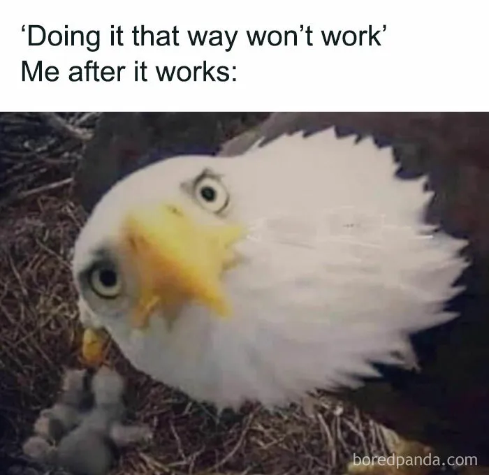 1.7M People Are Crying Laughing At The Memes From This Page, So Here Are The 49 Best