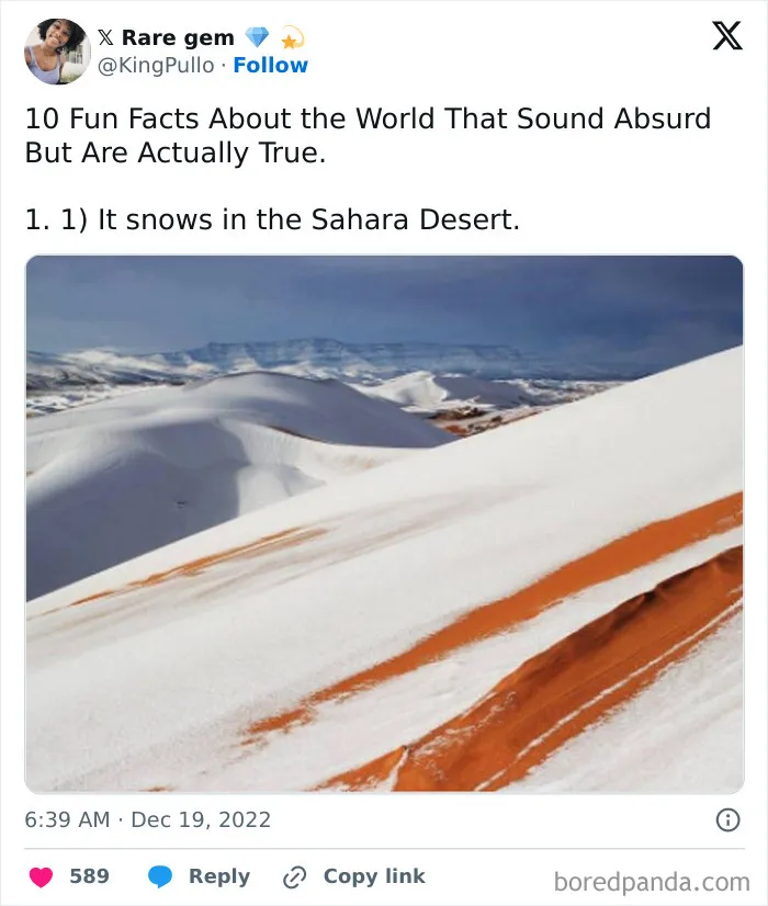Rare Facts About People, Places, And Everyday Things That Will Make You Say “No Way!”: 17 Photos