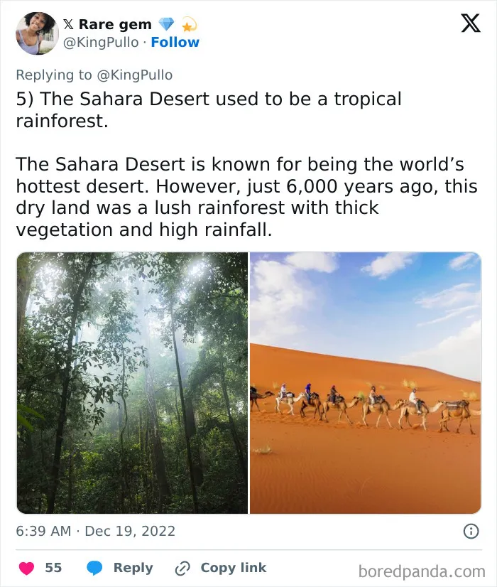 Rare Facts About People, Places, And Everyday Things That Will Make You Say “No Way!”: 17 Photos