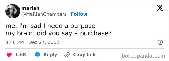 Relatable meme about finding purpose vs. making a purchase, capturing mental struggles with humor.