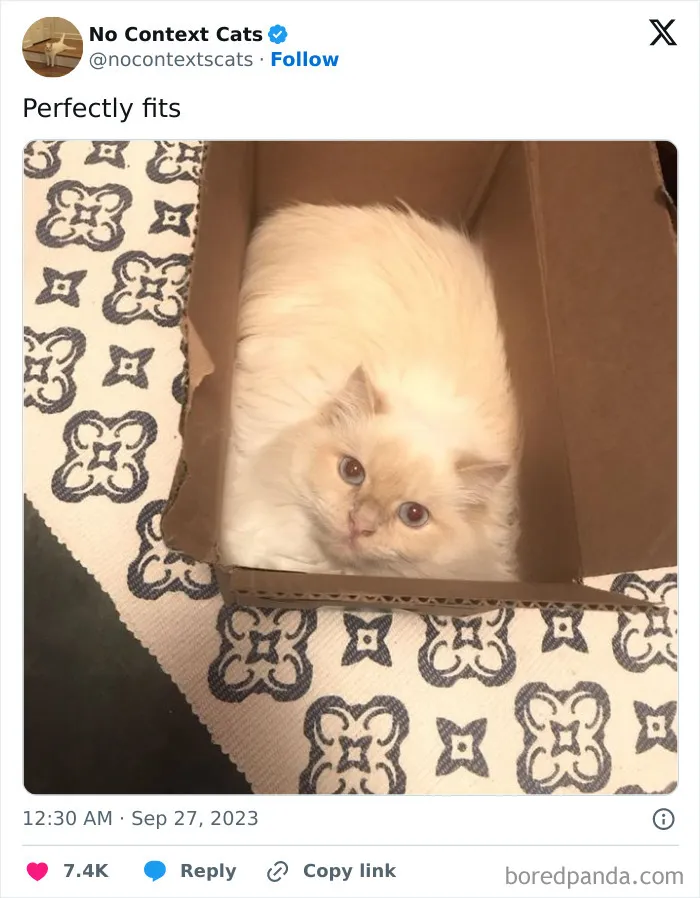Best Gift Ever