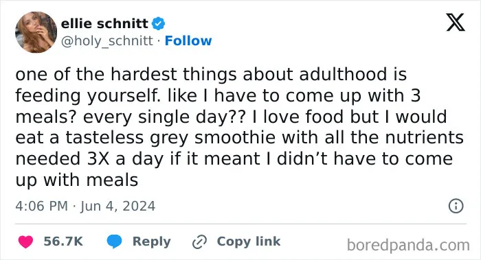 50 Painfully Funny Posts From People Who Wish Adulting Was Just A Phase