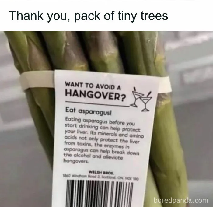 1.7M People Are Crying Laughing At The Memes From This Page, So Here Are The 49 Best