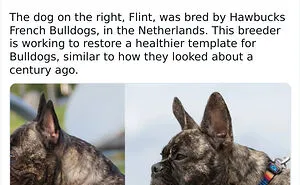 Rare Facts About People, Places, And Everyday Things That Will Make You Say “No Way!”: 17 Photos