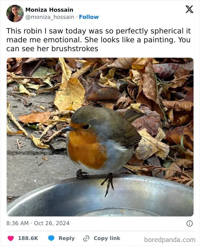 40 Memes That Capture Humor, Chaos, And Everything In Between