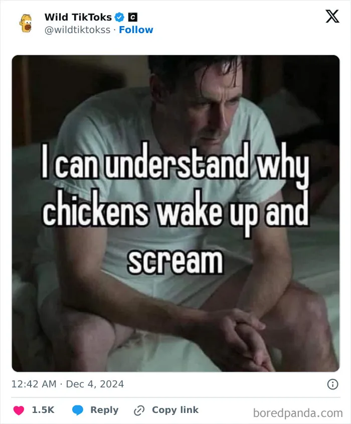 30 TikTok Screenshots That Left People Questioning Everything (New Pics)