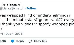 Spotify Wrapped 2024 Finally Drops And Folks Can’t Stop Sharing Their Disappointment (33 Reactions)