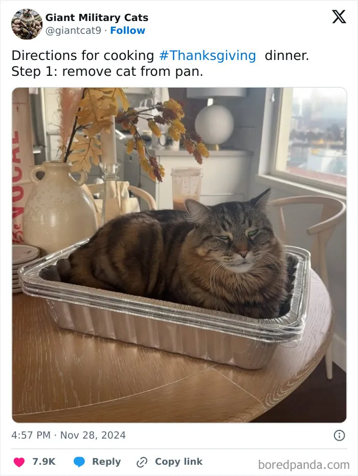 30 People Who Won The Internet With Their Hilarious Thanksgiving Tweets