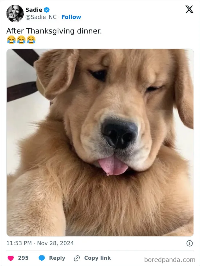 30 People Who Won The Internet With Their Hilarious Thanksgiving Tweets
