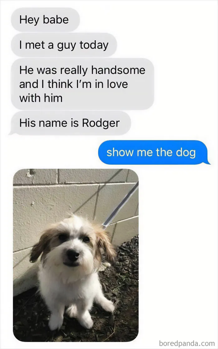 50 Wholesome Animal Memes That Might Just Turn Your Day Around