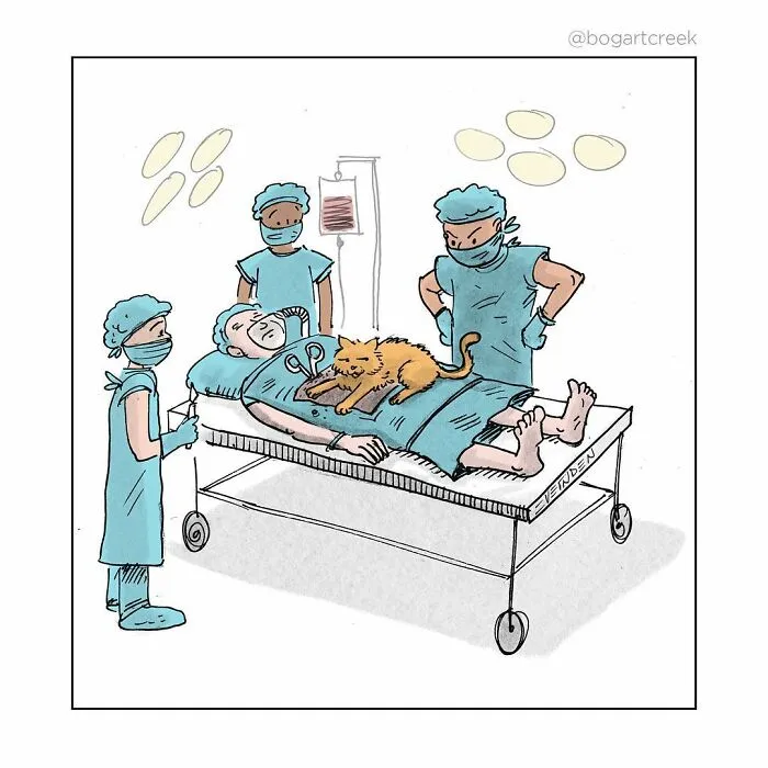 Estos cómics de Derek Evernden nos cuentan buenos chistes usando un solo panel (nuevas imágenes)