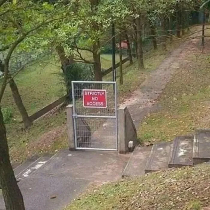 28 Carteles tan ridículos que en realidad son ingeniosos (nuevas imágenes)
