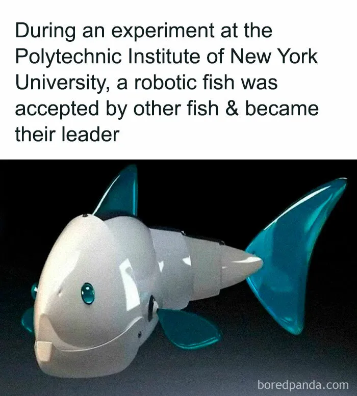 30 Strange But Interesting Facts To Satisfy Your Never-Ending Need For Knowledge