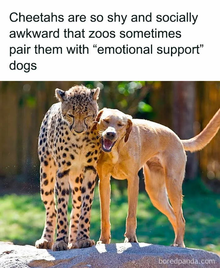30 Strange But Interesting Facts To Satisfy Your Never-Ending Need For Knowledge