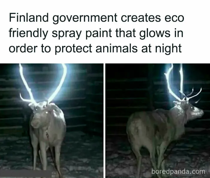 30 Strange But Interesting Facts To Satisfy Your Never-Ending Need For Knowledge