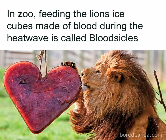 30 Strange But Interesting Facts To Satisfy Your Never-Ending Need For Knowledge