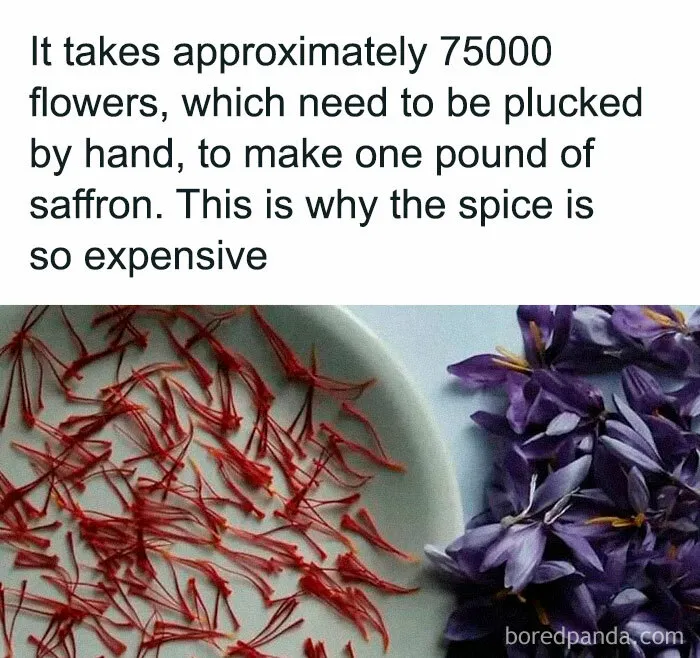 30 Strange But Interesting Facts To Satisfy Your Never-Ending Need For Knowledge