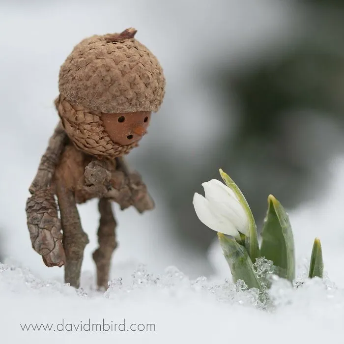 Becorns: This Ex-LEGO Designer Traded Plastic Bricks For Acorns And Sticks (30 Pics)