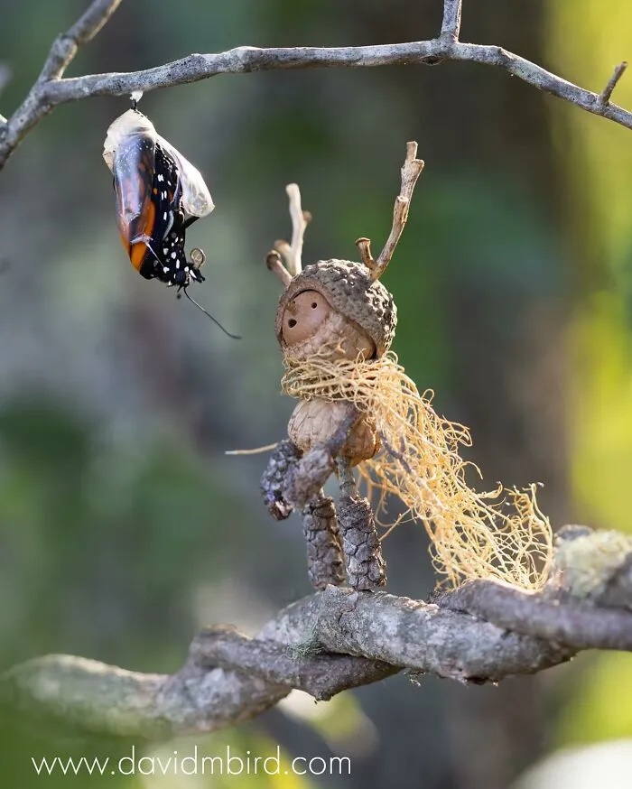 Becorns: This Ex-LEGO Designer Traded Plastic Bricks For Acorns And Sticks (30 Pics)