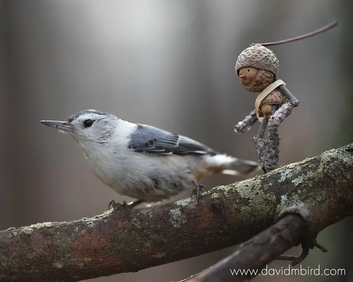 Becorns: This Ex-LEGO Designer Traded Plastic Bricks For Acorns And Sticks (30 Pics)