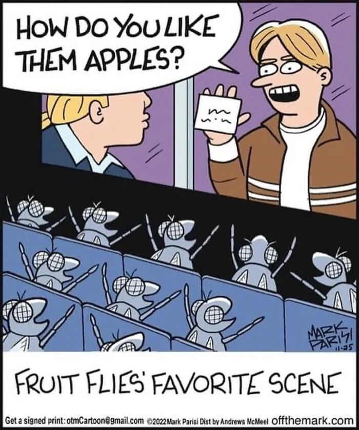 20 Horror Movies From The Perspective Of Animals And Things Illustrated By This Comic Artist (New Pics)