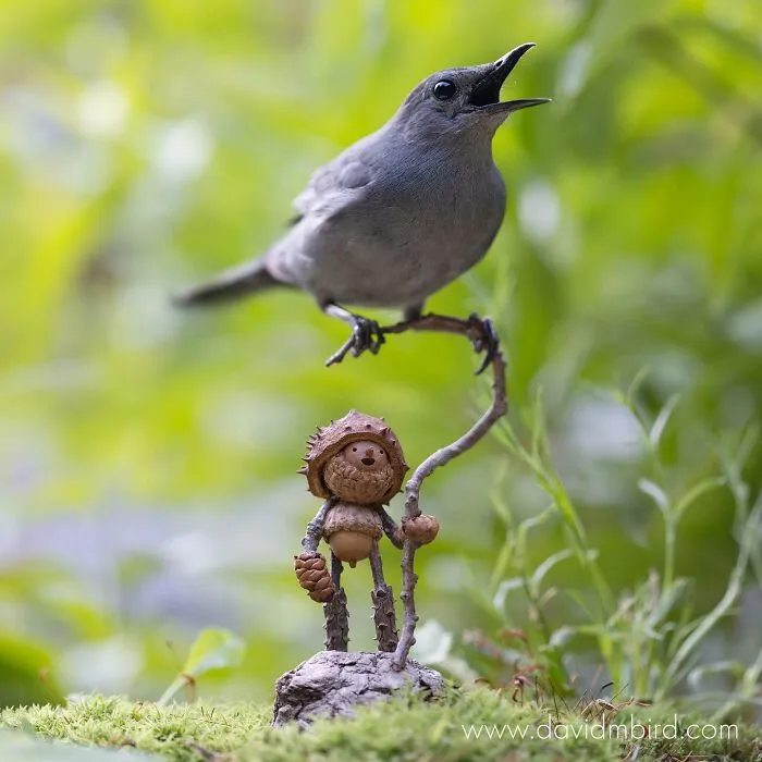 Becorns: This Ex-LEGO Designer Traded Plastic Bricks For Acorns And Sticks (30 Pics)