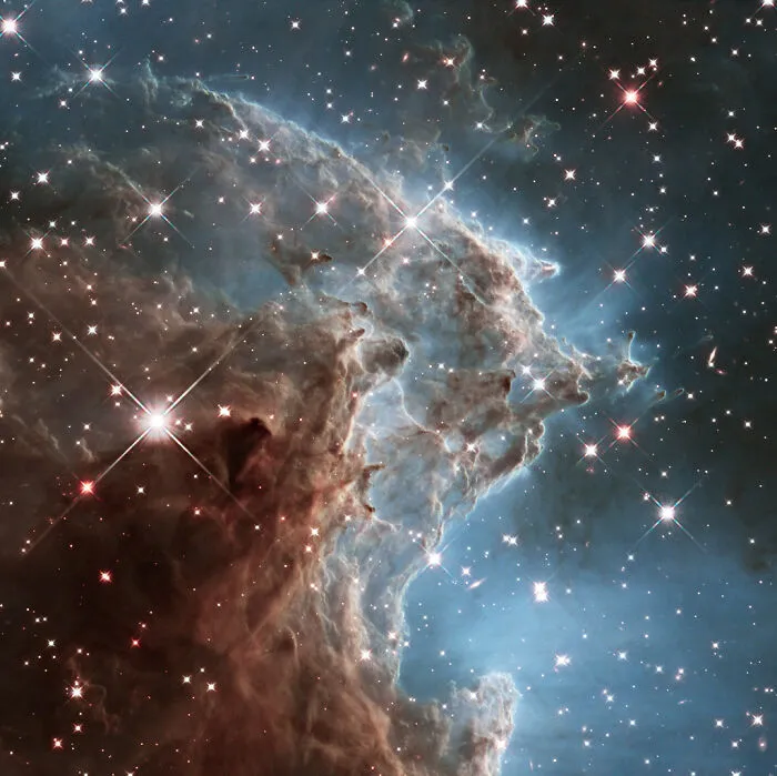 Monkey Head Nebula