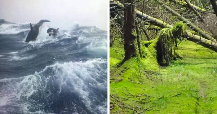 45 Terrifying Times Nature Stopped People In Their Tracks (New Pics)