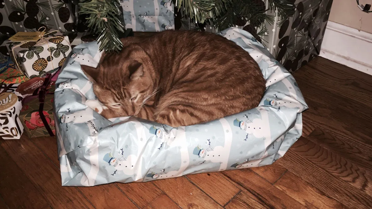 Unwrap The Holiday Fun With 45 Funny Christmas Memes