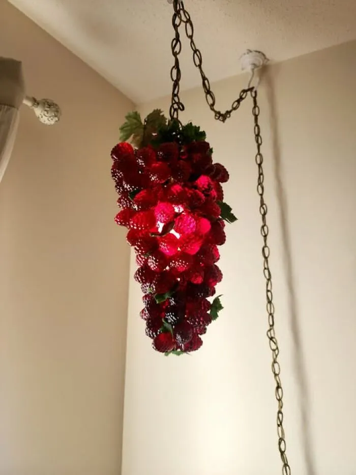 50 Second-Hand Discoveries That Are As Strange As They Are Spectacular