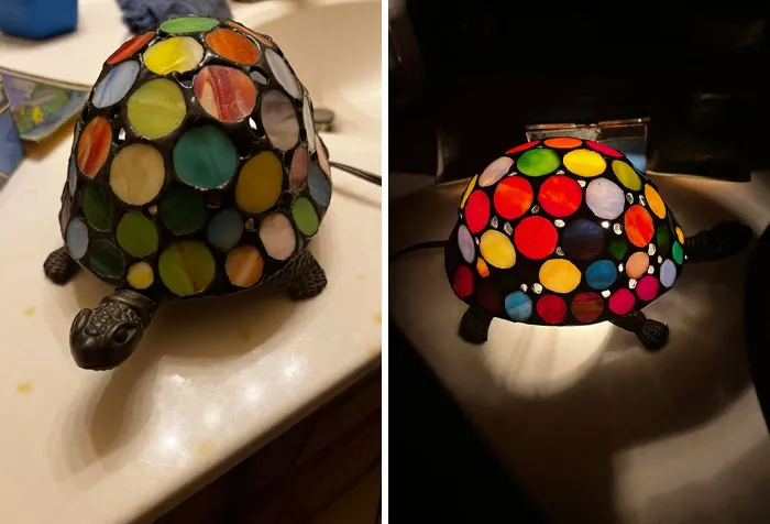 50 Second-Hand Discoveries That Are As Strange As They Are Spectacular