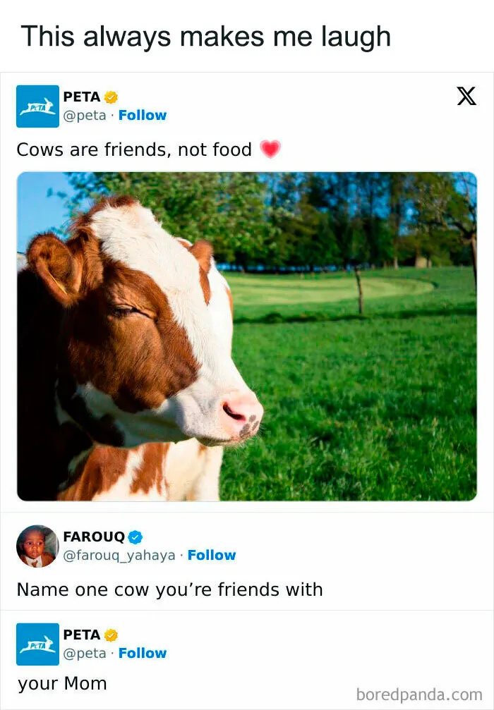 30 Of The Funniest And Most Bizarre Things Posted By Official Social Media Accounts (New Pics)