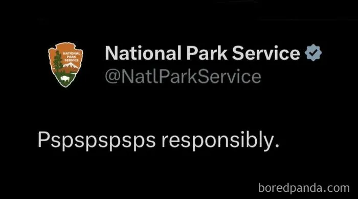 Pspspspsps Responsibly