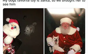 50 Holiday Stories That Are Almost Too Wholesome To Handle (New Pics)