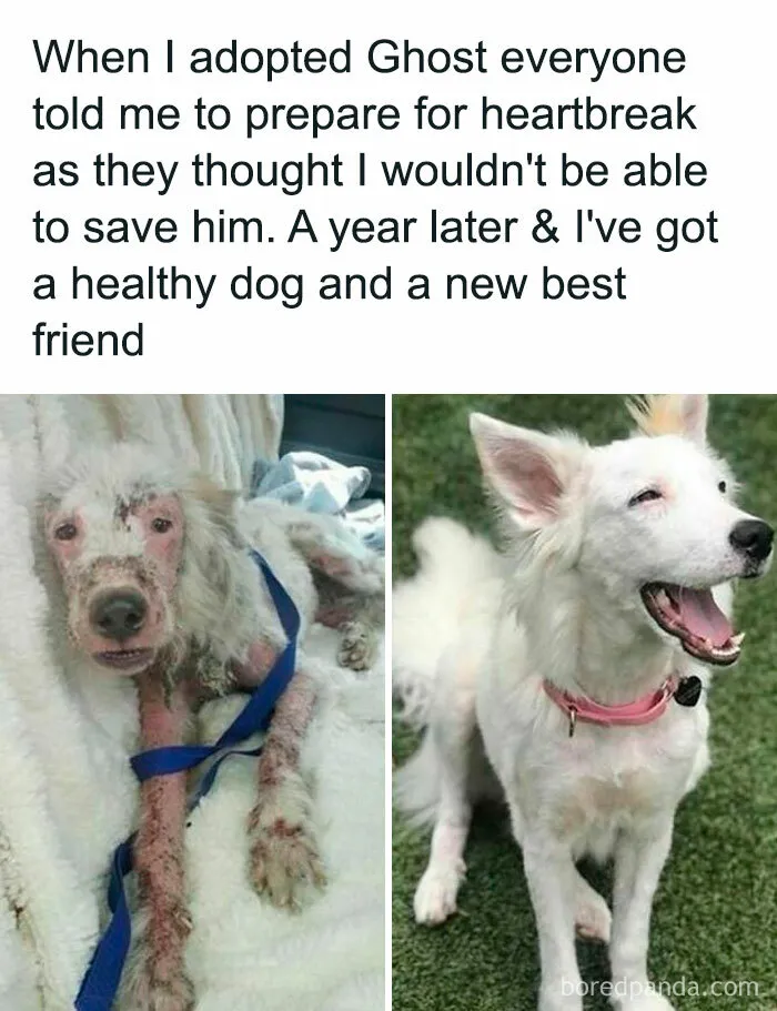 If You Feel Like The World Is Going To Hell, These 50 Positive Stories May Change Your Mind