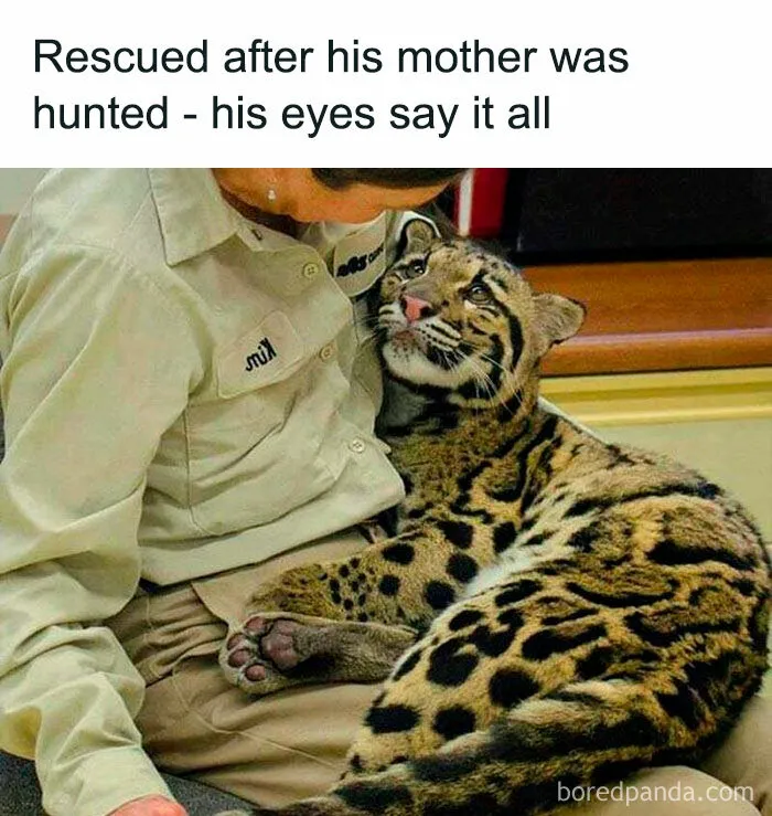 If You Feel Like The World Is Going To Hell, These 50 Positive Stories May Change Your Mind