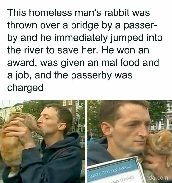 If You Feel Like The World Is Going To Hell, These 50 Positive Stories May Change Your Mind