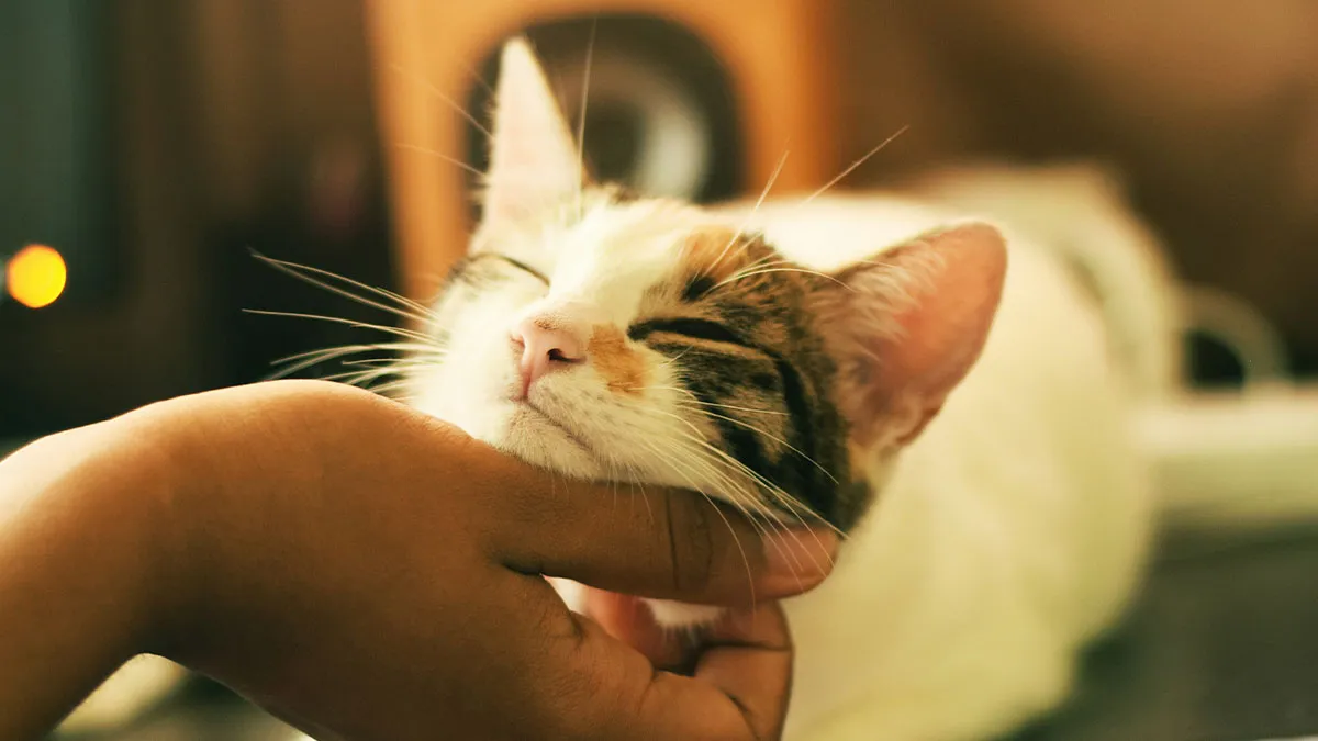 50 Wholesome Pics From The “Wholesome Meets The Internet” Account To Brighten Up Your Day (New Pics)