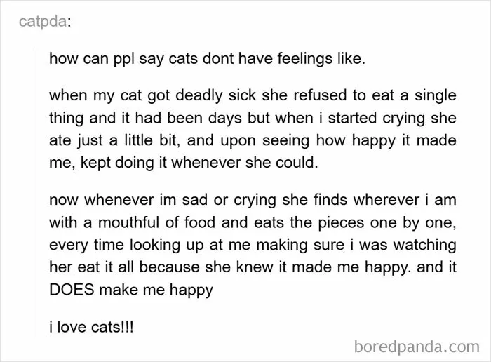 50 Wholesome Pics From The “Wholesome Meets The Internet” Account To Brighten Up Your Day (New Pics)