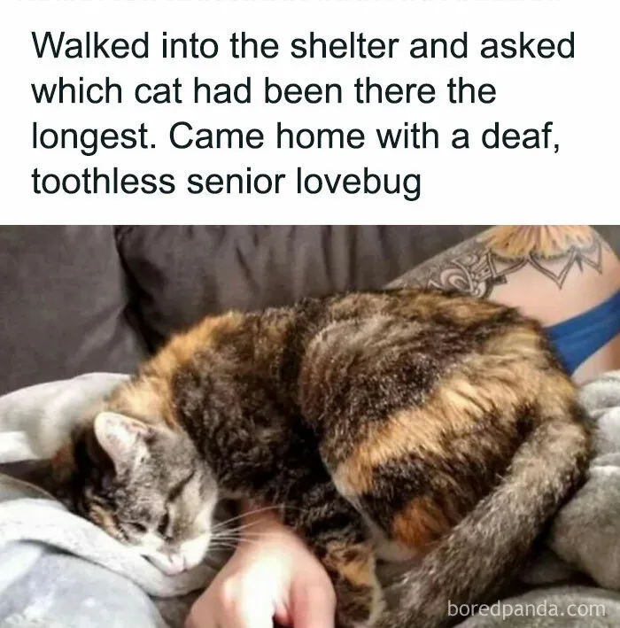 50 Wholesome Pics From The “Wholesome Meets The Internet” Account To Brighten Up Your Day (New Pics)