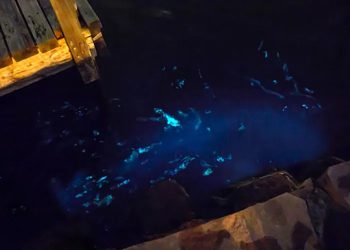 “Full Size Refrigerator Just Floating”: 30 Wild Sightings At Sea To Make You Ever-More Cautious
