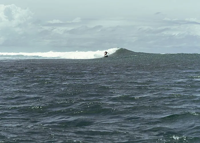 “Full Size Refrigerator Just Floating”: 30 Wild Sightings At Sea To Make You Ever-More Cautious