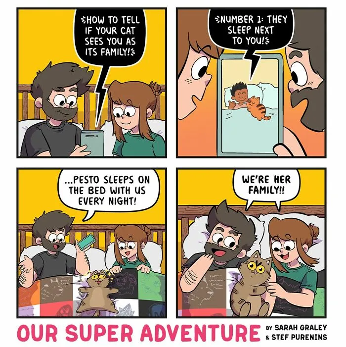20 Hilariously Relatable Comics By Sarah Graley About Life With Her Husband And Four Cats (New Pics)